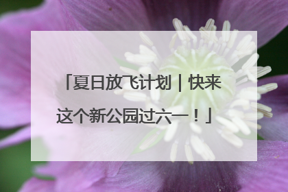 夏日放飞计划｜快来这个新公园过六一！