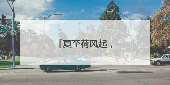 夏至荷风起，石门绘新景