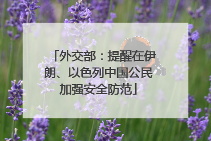 外交部：提醒在伊朗、以色列中国公民加强安全防范