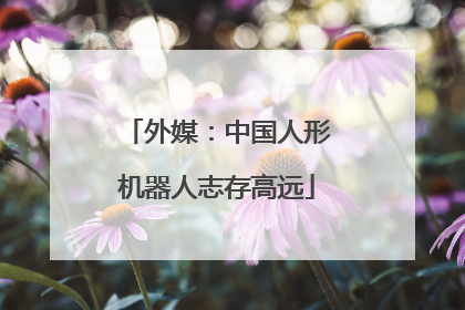 外媒：中国人形机器人志存高远