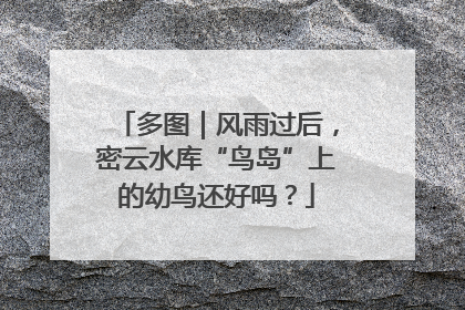 多图｜风雨过后，密云水库“鸟岛”上的幼鸟还好吗？