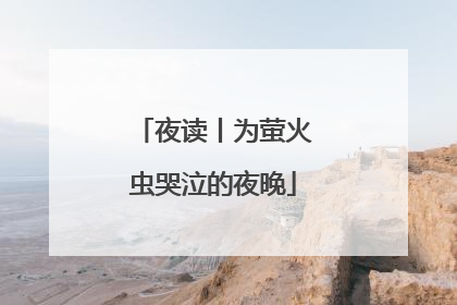 夜读丨为萤火虫哭泣的夜晚