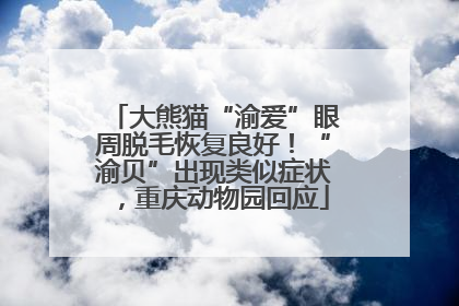 大熊猫“渝爱”眼周脱毛恢复良好！“渝贝”出现类似症状，重庆动物园回应