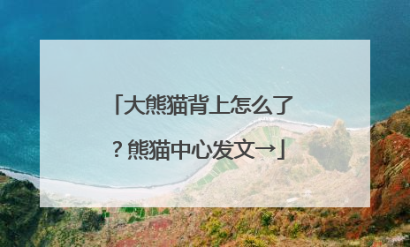 大熊猫背上怎么了？熊猫中心发文→