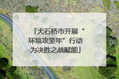大石桥市开展“环境攻坚年”行动为决胜之战赋能