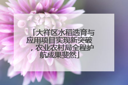 大祥区水稻选育与应用项目实现新突破，农业农村局全程护航成果斐然