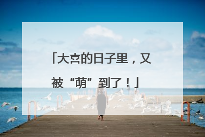 大喜的日子里，又被“萌”到了！