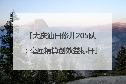 大庆油田修井205队：毫厘精算创效益标杆