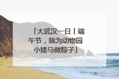 大武汉一日丨端午节，我为动物园小矮马做粽子
