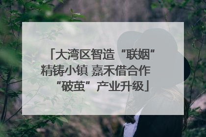 大湾区智造“联姻”精铸小镇 嘉禾借合作“破茧”产业升级