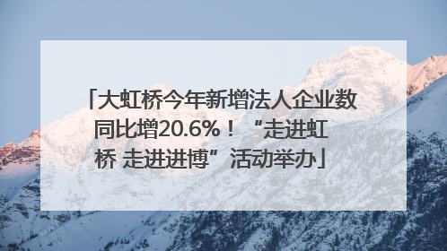 大虹桥今年新增法人企业数同比增20.6%！“走进虹桥 走进进博”活动举办