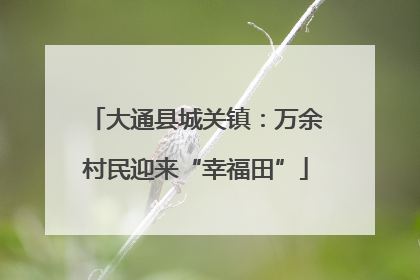大通县城关镇：万余村民迎来“幸福田”