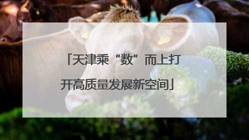 天津乘“数”而上打开高质量发展新空间
