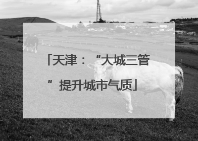 天津：“大城三管”提升城市气质