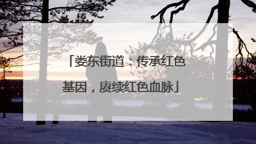 娄东街道：传承红色基因，赓续红色血脉