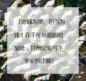 忠诚为墨、担当为锋！在千年丝路的褶皱处，甘州公安写下平安的注脚