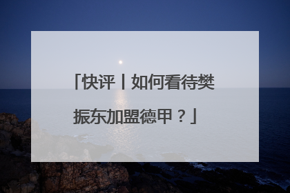 快评丨如何看待樊振东加盟德甲？