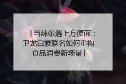 当辣条遇上方便面：卫龙白象联名如何重构食品消费新场景