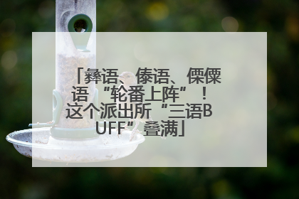 彝语、傣语、傈僳语 “轮番上阵”！这个派出所“三语BUFF”叠满