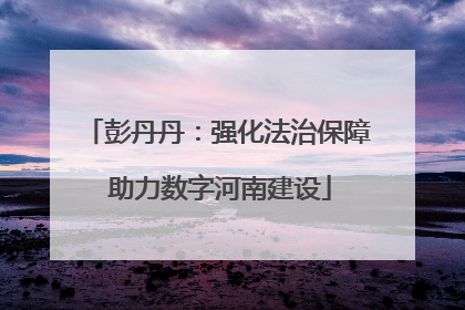 彭丹丹：强化法治保障 助力数字河南建设