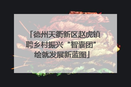 德州天衢新区赵虎镇聘乡村振兴“智囊团” 绘就发展新蓝图