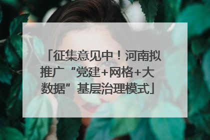 征集意见中！河南拟推广“党建+网格+大数据”基层治理模式