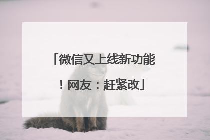 微信又上线新功能！网友：赶紧改