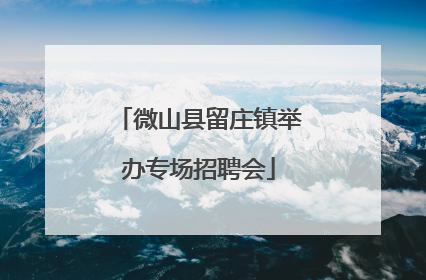 微山县留庄镇举办专场招聘会