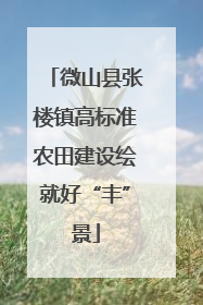 微山县张楼镇高标准农田建设绘就好“丰”景