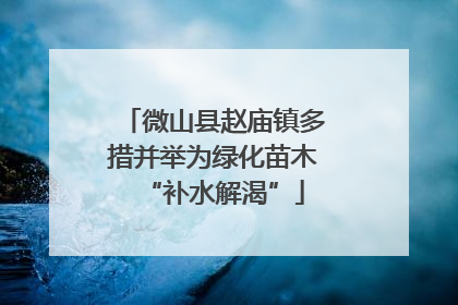 微山县赵庙镇多措并举为绿化苗木“补水解渴”