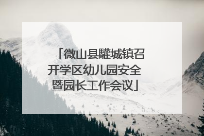 微山县驩城镇召开学区幼儿园安全暨园长工作会议