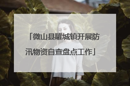 微山县驩城镇开展防汛物资自查盘点工作