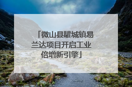 微山县驩城镇易兰达项目开启工业倍增新引擎
