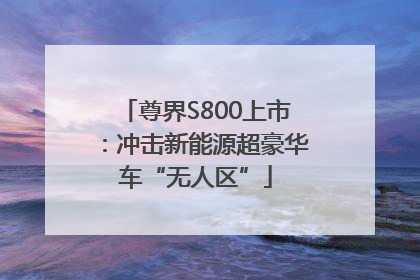 尊界S800上市：冲击新能源超豪华车“无人区”