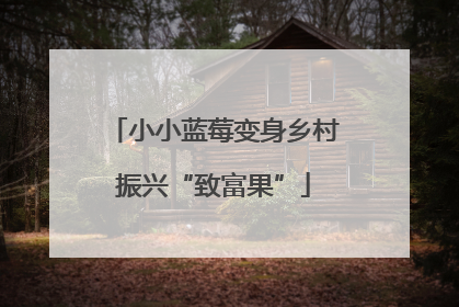 小小蓝莓变身乡村振兴“致富果”