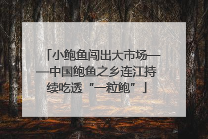 小鲍鱼闯出大市场——中国鲍鱼之乡连江持续吃透“一粒鲍”