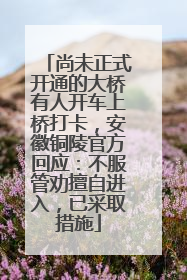 尚未正式开通的大桥有人开车上桥打卡，安徽铜陵官方回应：不服管劝擅自进入，已采取措施