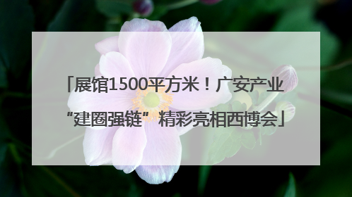 展馆1500平方米！广安产业“建圈强链”精彩亮相西博会