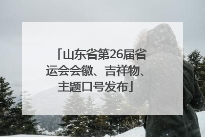 山东省第26届省运会会徽、吉祥物、主题口号发布