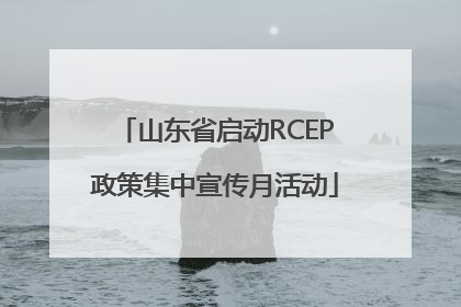 山东省启动RCEP政策集中宣传月活动