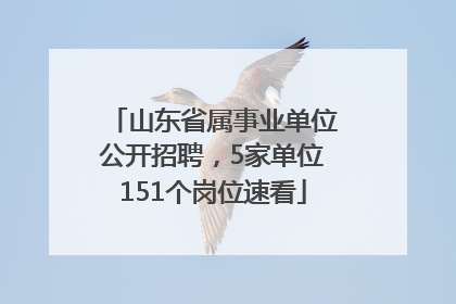 山东省属事业单位公开招聘，5家单位151个岗位速看
