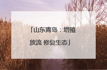 山东青岛：增殖放流 修复生态