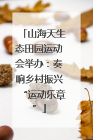 山海天生态田园运动会举办：奏响乡村振兴“运动乐章”