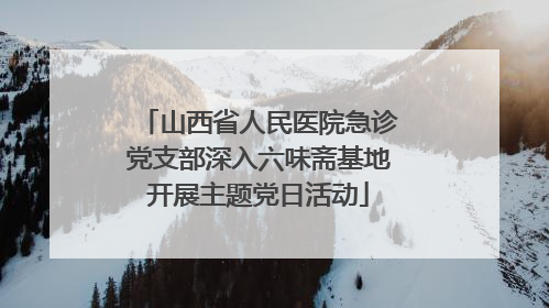 山西省人民医院急诊党支部深入六味斋基地开展主题党日活动