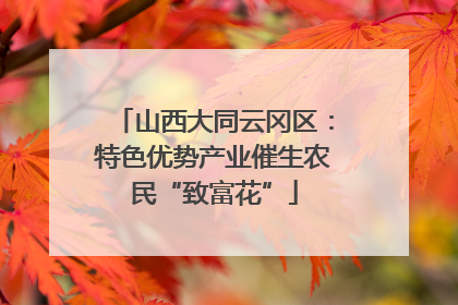 山西大同云冈区：特色优势产业催生农民“致富花”