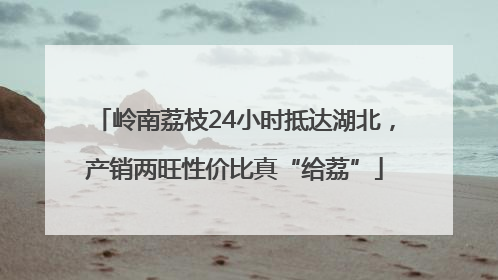 岭南荔枝24小时抵达湖北，产销两旺性价比真“给荔”