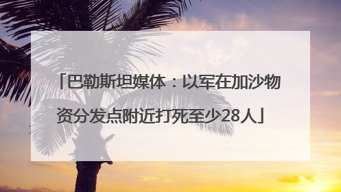 巴勒斯坦媒体：以军在加沙物资分发点附近打死至少28人