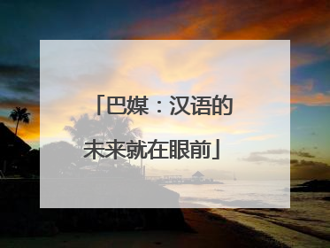 巴媒：汉语的未来就在眼前