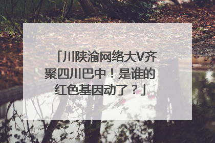 川陕渝网络大V齐聚四川巴中！是谁的红色基因动了？