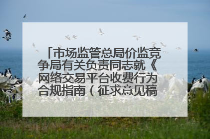 市场监管总局价监竞争局有关负责同志就《网络交易平台收费行为合规指南（征求意见稿）》答记者问